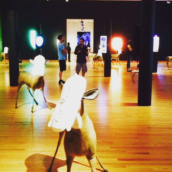 Brendan Fernandes @seattleartmuseum #seattle #samdisguise