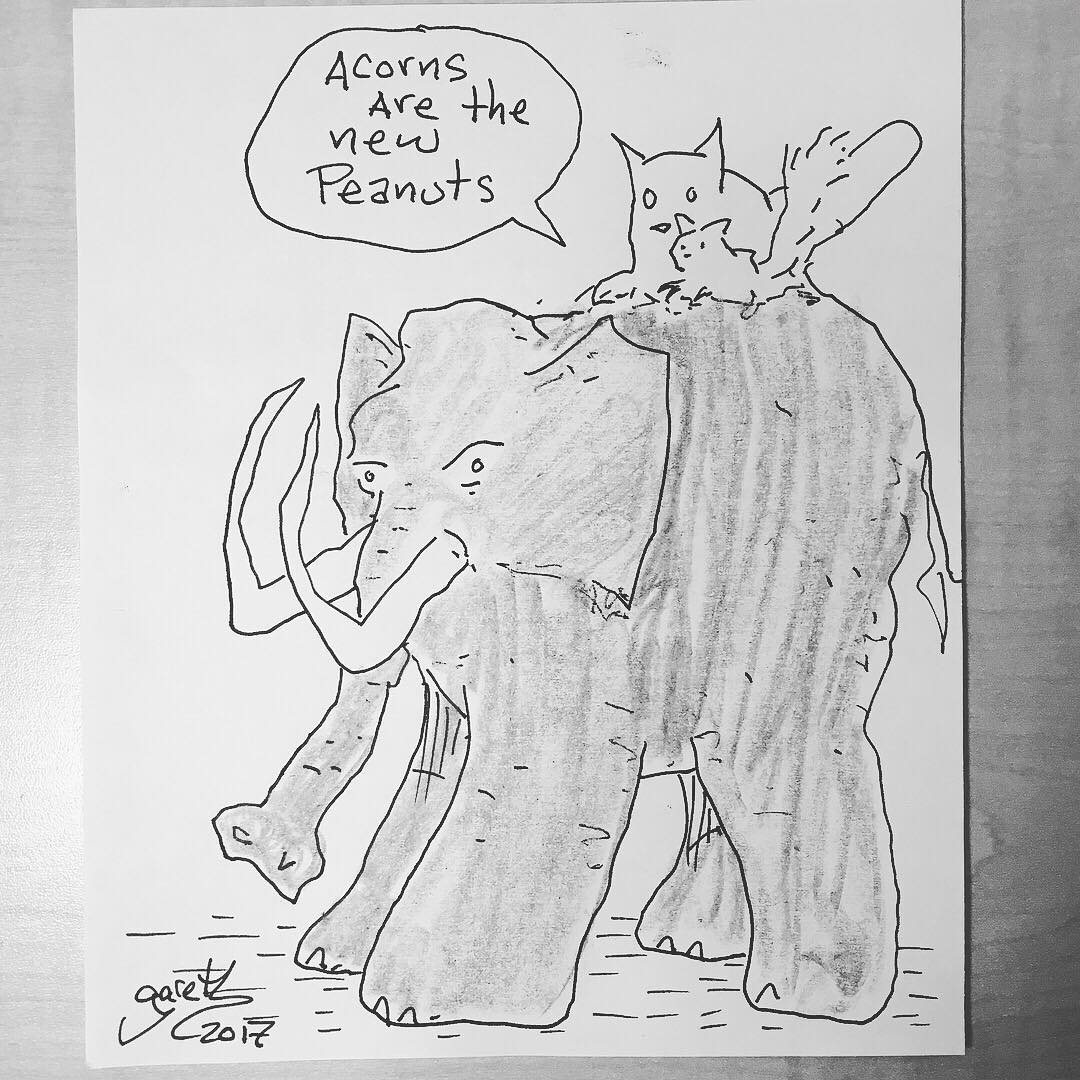 Acorns are the new Peanuts. Perogy Cat and Squirrel ride the Woolly mammoth at Royal BC Museum. Amazing custom drawing by Gareth Gaudin, famous for the iconic Perogy Cat comic and owner of Legends Comics & Books. So happy, thank you so much Gareth for this highly coveted drawing.  Fabbo Bun Anus photo by @saltwaterloveaffair  http://legendscomics.ca/cat/ @gareth_gaudin @royalbcmuseum @carollyneyardley @legendscomicsandbooks #perogycat #legendscomics #garethgaudin #carollyneyardley #canadianart @saltwaterloveaffair #woollymammoth #squirrel #squirrealism #comicbookart #comics #yvr #vancouverart #vancouverisawesome #comiccon