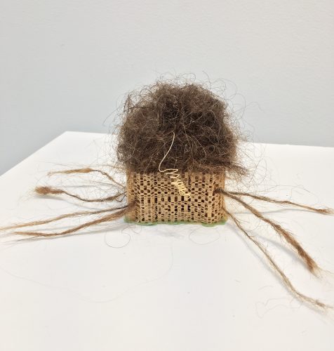 Holobionts 2 (detail), squirrel hair, cat hair, magnolia petals, leaf skeleton, human hair, 30% wood fibre acrylic, wax, feather, oak tree branch, acorns, 2019.