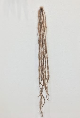 Holobionts 4 (detail). Squirrel hair, cat hair, magnolia petals, leaf skeleton, human hair, 30% wood fibre acrylic, wax, feather, oak tree branch, acorns, 2019.