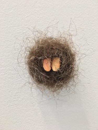 Holobionts 6 (detail). Squirrel hair, cat hair, magnolia petals, leaf skeleton, human hair, 30% wood fibre acrylic, wax, feather, oak tree branch, acorns, 2019.