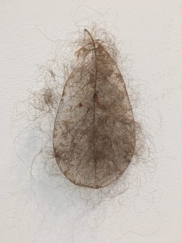 Holobionts 10 (detail). Squirrel hair, cat hair, magnolia petals, leaf skeleton, human hair, 30% wood fibre acrylic, wax, feather, oak tree branch, acorns, 2019.