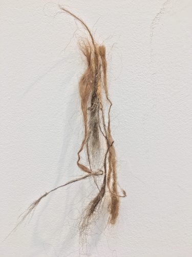 Holobionts 17 (detail). Squirrel hair, cat hair, magnolia petals, leaf skeleton, human hair, 30% wood fibre acrylic, wax, feather, oak tree branch, acorns, 2019.