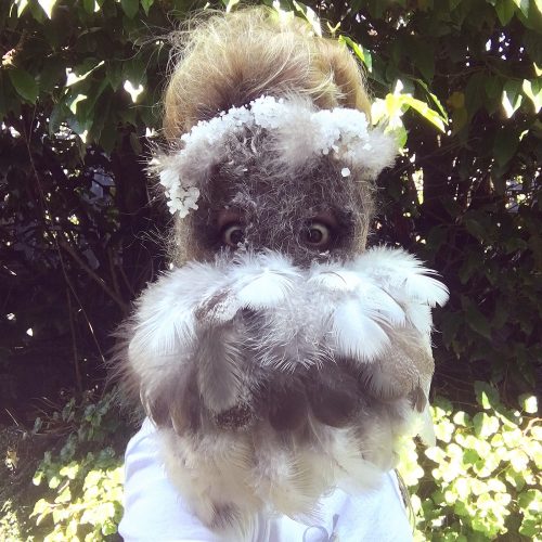 Symbiogenetic Mask, Beacon Hill Park (Fall), Victoria BC, 9″ x 11″ x 2.5″, peafowl feathers, squirrel hair, Garry oak tree branches, human hair, salt and Borax crystals, string, yarn, tulle, wool, 2019.