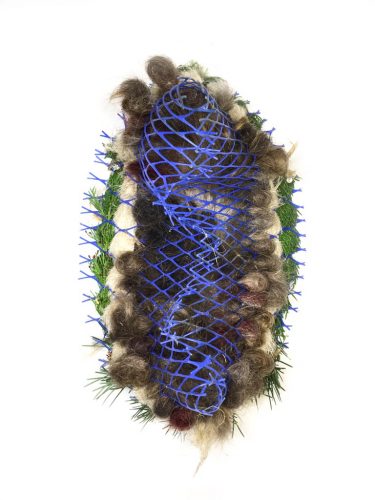 Molecular (front view), from the Symbiogenesis series, 2020. Found and foraged cedar bough (sustainably harvested after windstorm), pampas grass, human hair, plastic mesh tree protector, 17′′ x 10′′ x 8′′.