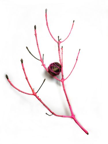 Victim of the Property Line (human boundaries), from the Symbiogenesis series, 2020. Gifted human hair, foraged rusty bedsprings, twigs, blue plastic surgical gloves, 37″ x 30″ x 8″.