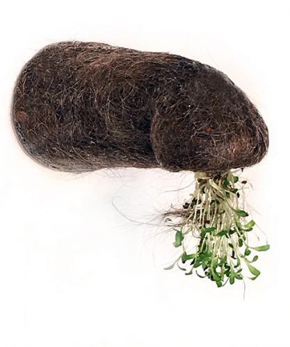 Semiotic silence C, from the Hologenomes series, 2020, found faucet, human hair, sponge, alfalfa sprouts, 8” x 4” x 4”