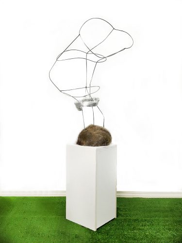 Collaboration with Black-tailed buck and his antlers during the rut, 2020 Installation view, tomato cage, deer hair, human hair, tape