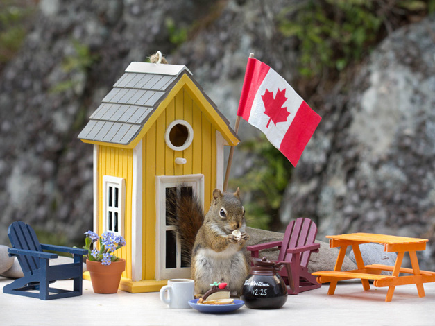 Cottage life in Canada.jpg