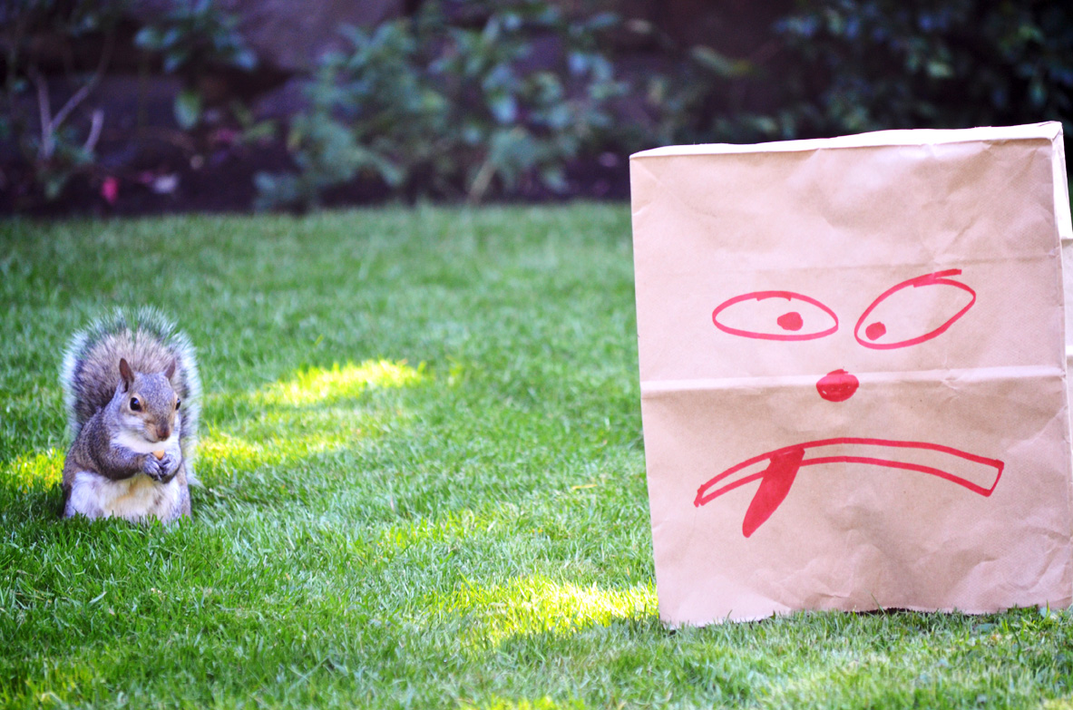 Squirrel and Grouchy Paper Bag Man, Photo by Carollyne Yardley, July 2013.