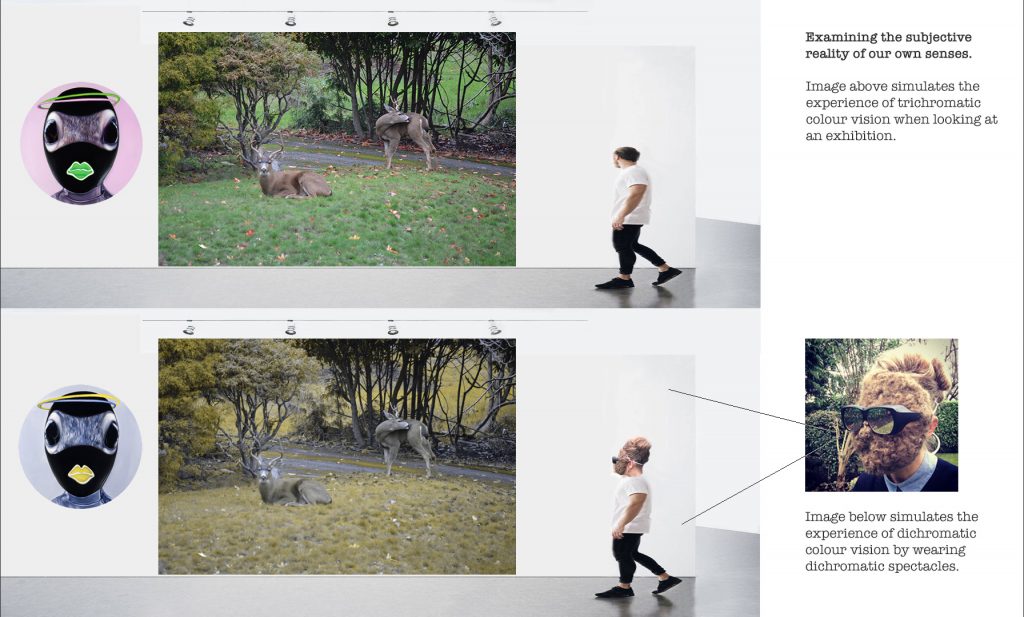 What a Squirrel Sees, Dichromatic Colour Vision of the Eastern Grey ...