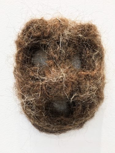 Holobiont 1 (detail). Squirrel hair, cat hair, magnolia petals, leaf skeleton, human hair, 30% wood fibre acrylic, wax, feather, oak tree branch, acorns, 2019.