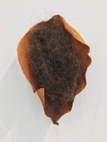 Holobionts 9 (detail). Squirrel hair, cat hair, magnolia petals, leaf skeleton, human hair, 30% wood fibre acrylic, wax, feather, oak tree branch, acorns, 2019.