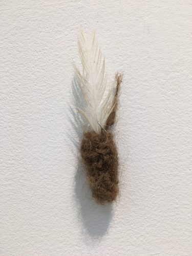Holobionts 12 (detail). Squirrel hair, cat hair, magnolia petals, leaf skeleton, human hair, 30% wood fibre acrylic, wax, feather, oak tree branch, acorns, 2019.