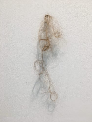 Holobionts 13 (detail). Squirrel hair, cat hair, magnolia petals, leaf skeleton, human hair, 30% wood fibre acrylic, wax, feather, oak tree branch, acorns, 2019.