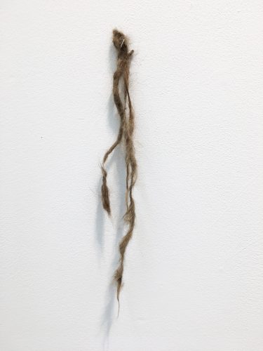 Holobionts 15 (detail). Squirrel hair, cat hair, magnolia petals, leaf skeleton, human hair, 30% wood fibre acrylic, wax, feather, oak tree branch, acorns, 2019.
