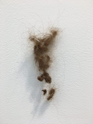 Holobionts 14 (detail). Squirrel hair, cat hair, magnolia petals, leaf skeleton, human hair, 30% wood fibre acrylic, wax, feather, oak tree branch, acorns, 2019.