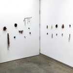 Holobionts 2019. Installation view.