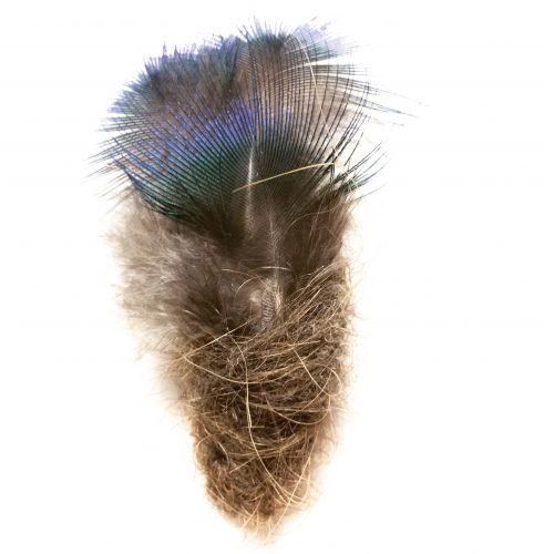 13 from the Park series. Human hair and peacock feathers, 3.5″ x 1.5″, 2019