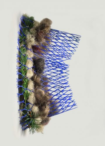 Molecule, from the Hologenome series, found and foraged: cedar bough (sustainably harvested after windstorm), pampas grass, human hair, plastic mesh tree protector, 2020. 17