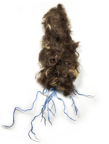 Plastivore, from the Symbiogenesis series, 2020, Human hair, foraged rusty bedsprings, twigs, blue plastic surgical gloves, 37″ x 30″ x 8″