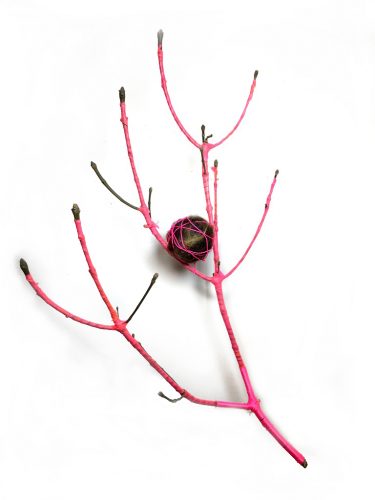 Victim of the Property Line (human boundaries), from the Symbiogenesis series, 2020. Human hair, foraged pink flagging tape and string, pruned branch, 40″ x 30″ x 8″.