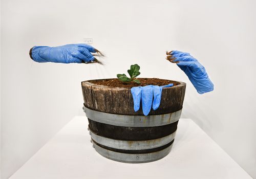 Rituals of Care from Sympoetics of Squirrealism series. Garry oak seedling grown from foraged acorns, soil and oak barrel from garden (14” x 9” x 9”). Gifted: Human hair. Foraged materials: used blue nitrile gloves. Resin, acrylic nails and armature