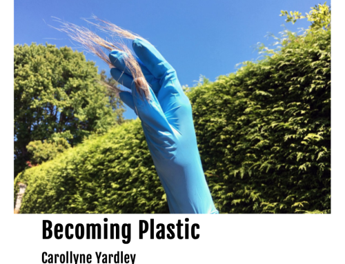Becoming Plastic at Deluge Contemporary Art