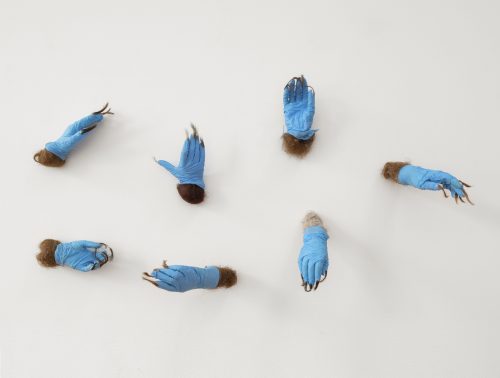 Becoming Plastic installation. Contagion, 2021. Gifted human hair, foraged used blue nitrile gloves, resin, acrylic nails, armature, 25″ x 32″ x 8″ (each hand 10″ x 3″ x 4″).