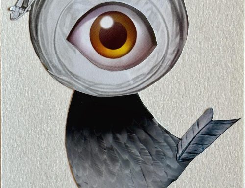 Collages: Intuitive interspecies communication and spirit guides