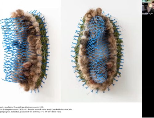 Squirrealism: Psychometry (IIC) in artistic practice. [Online  presentation] International Multispecies Methods Research Symposium, University of Saskatchewan,  Saskatoon, Canada.