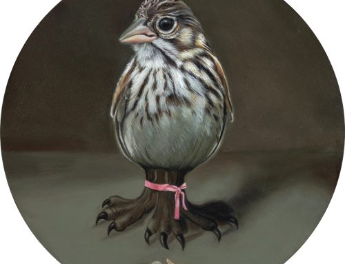 New Painting – Coastal Vesper Sparrow
