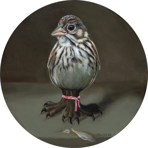 Coastal Vesper Sparrow, oil on panel, 12" diameter, 2025.