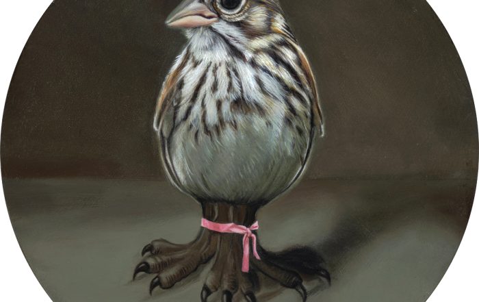 Coastal Vesper Sparrow, oil on panel, 12" diameter, 2025.