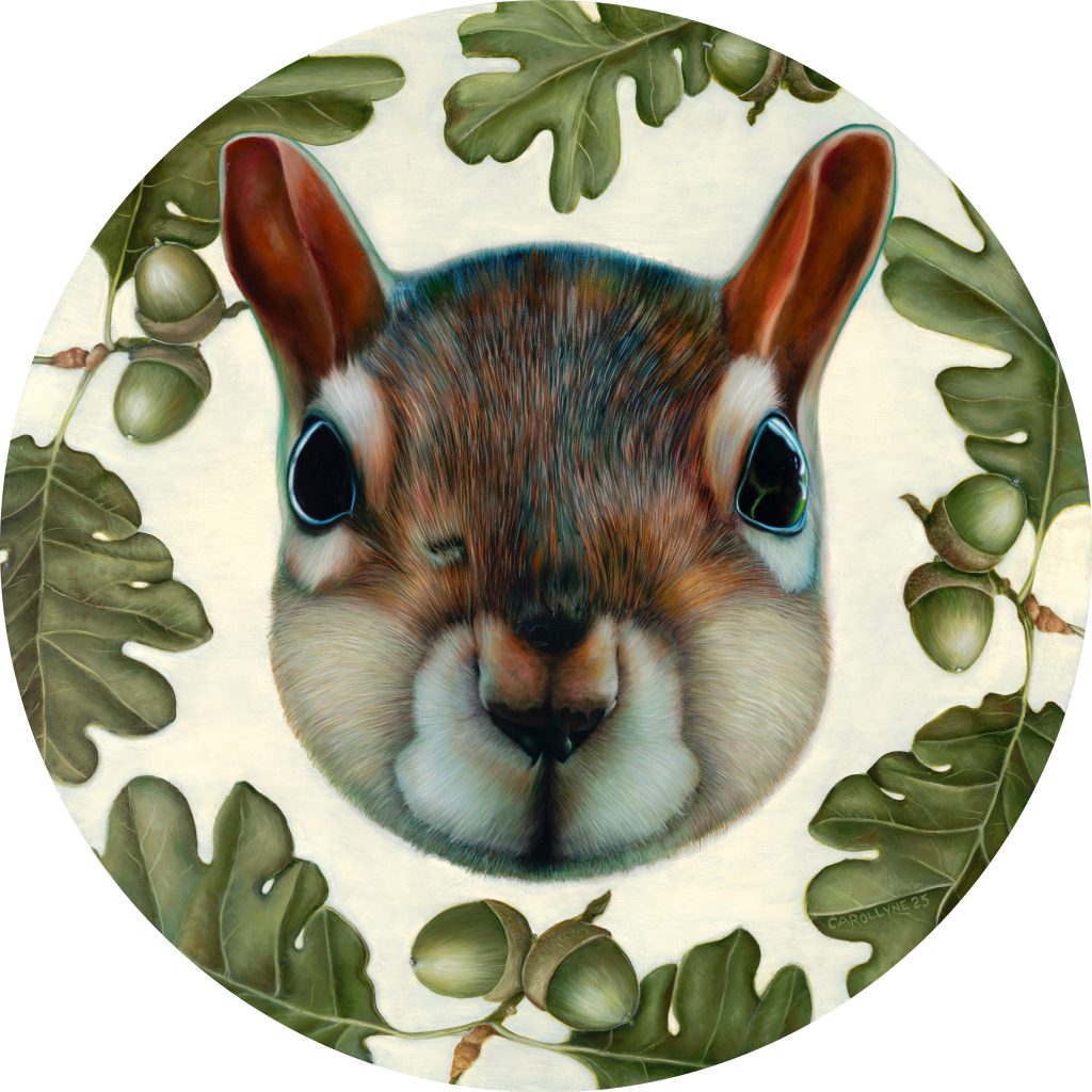 Kwetlal (Garry Oak) Squirrel 30” diameter Oil on Panel 2025