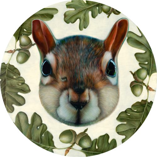 Kwetlal (Garry Oak) Squirrel 30” diameter Oil on Panel 2025