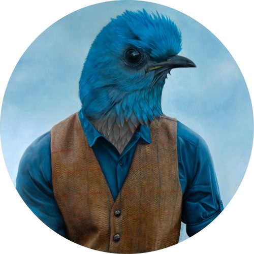 Western Bluebird: Locally Extinct 36” diameter Oil on Panel 2025