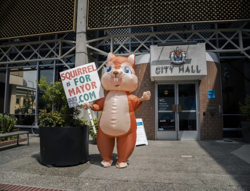 Squirrel for Mayor