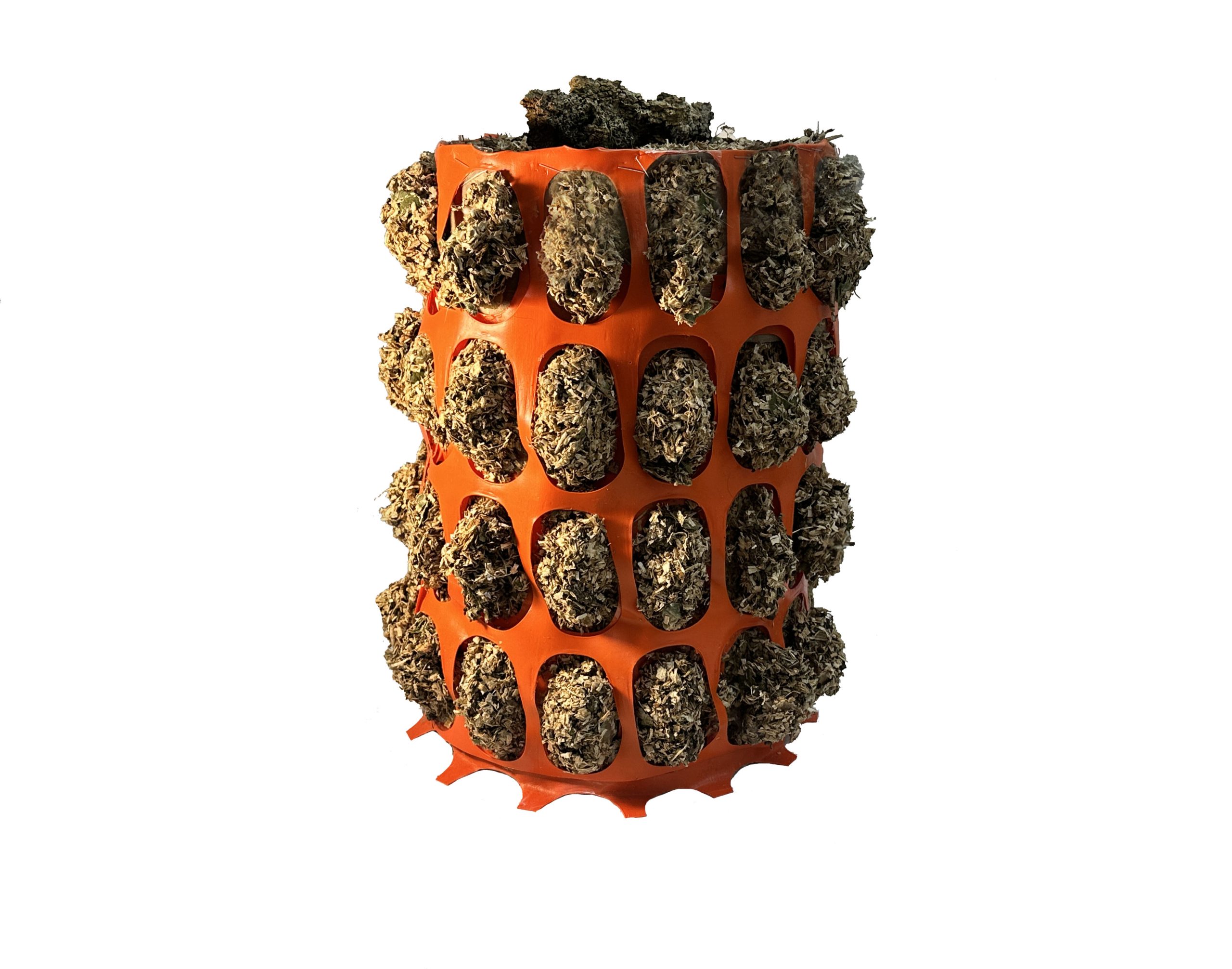 Memory of a Thousand Seasons, a sculpture by Carollyne Yardley made with Garry oak sawdust and orange plastic tree fencing.