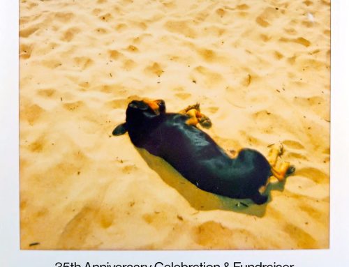 Instant Karma 35th Anniversary Celebration & Fundraiser